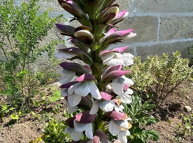 The Little Robin Bed & Breakfast 3*